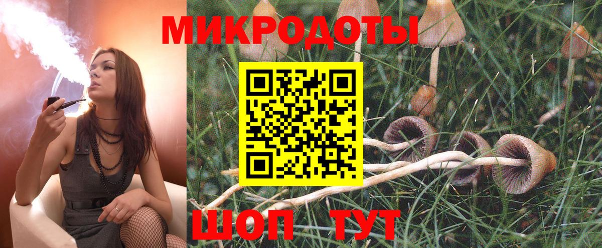 Галлюциногенные грибы MAGIC MUSHROOMS Новоалександровск