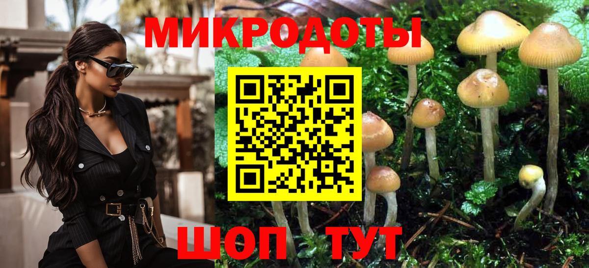 Галлюциногенные грибы ЛСД  Вход с VPN  Галлюциногенные грибы Psilocybine cubensis  Новоалександровск 
